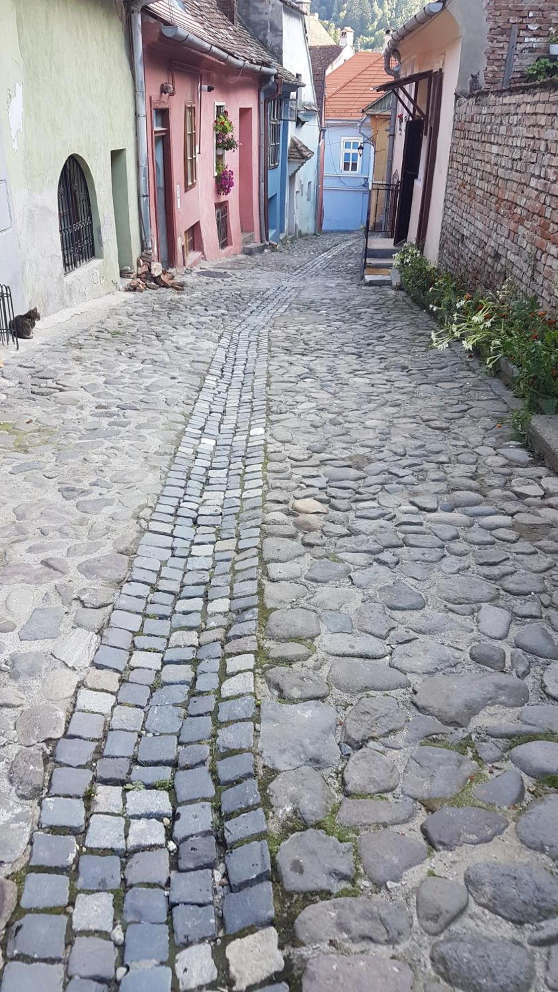 Stradela Cetatii Apartment Sighişoara Exterior foto